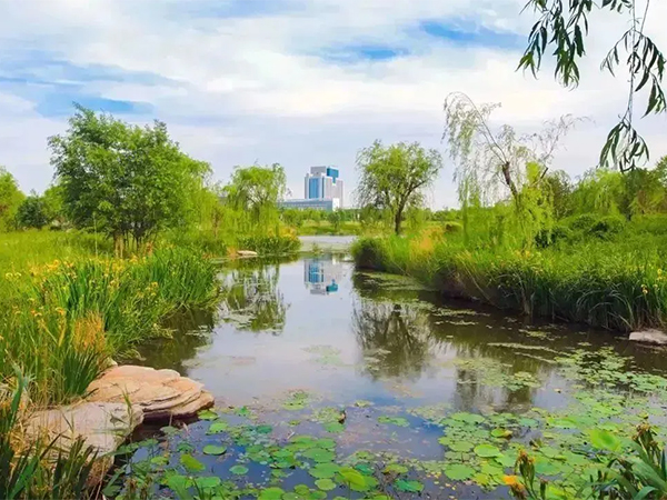 河道景觀.jpg